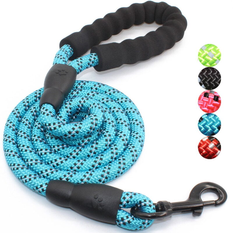 5 FT Strong Dog Leash with Comfortable Padded Handle and Highly Reflective Threads Dog Leashes for Small Medium and Large Dogs (Small, 5FT, BLUE)