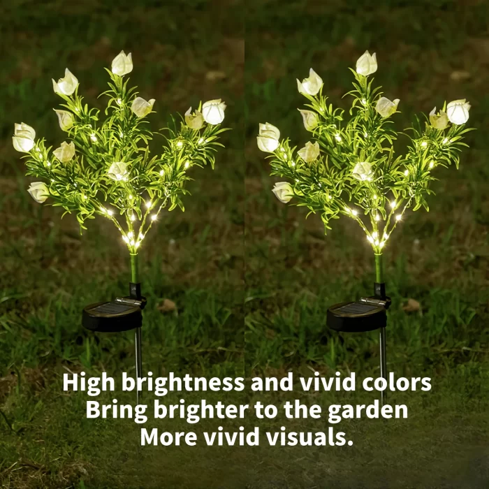 2 Pack Outdoor Solar Lights, Solar Garden Lights - Image 3