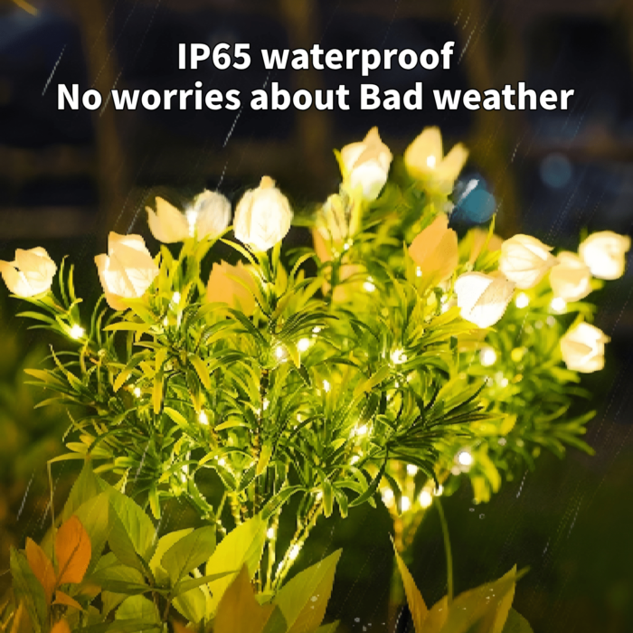 2 Pack Outdoor Solar Lights, Solar Garden Lights - Image 2